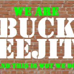 We Are Buck Eejit... And this Is Wot We Do